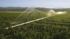 Sprinklers irrigate an agricultural field off Highway 33 in Ventura County near Cuyama, California